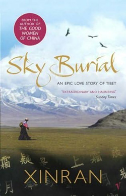 Book Cover of Sky Burial