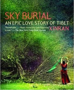 Book Cover: Sky Burial